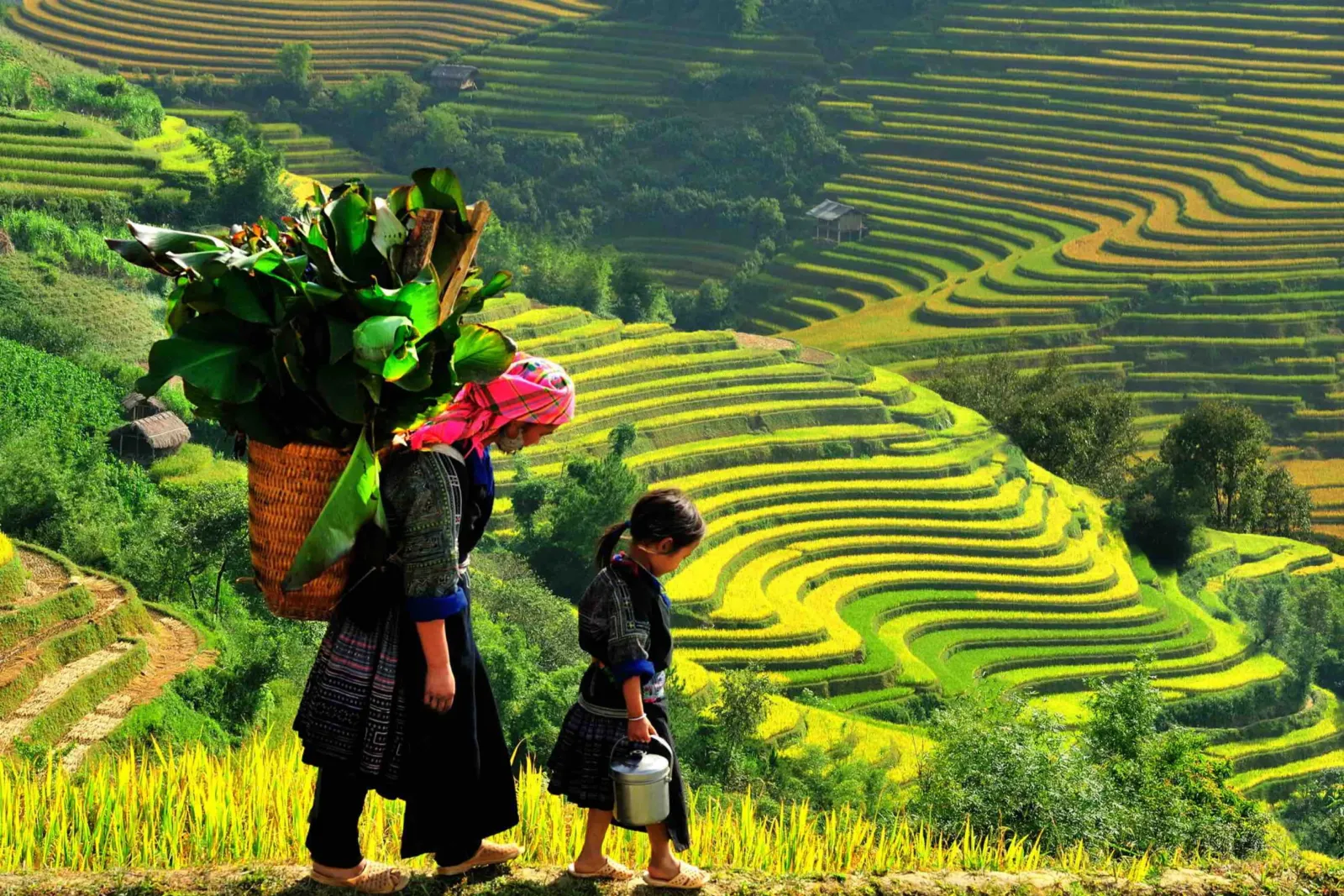 Dấu ấn du lịch Lào Cai giá rẻ đưa đón tại nhà Dấu ấn du lịch Lào Cai giá rẻ đưa đón tại nhà